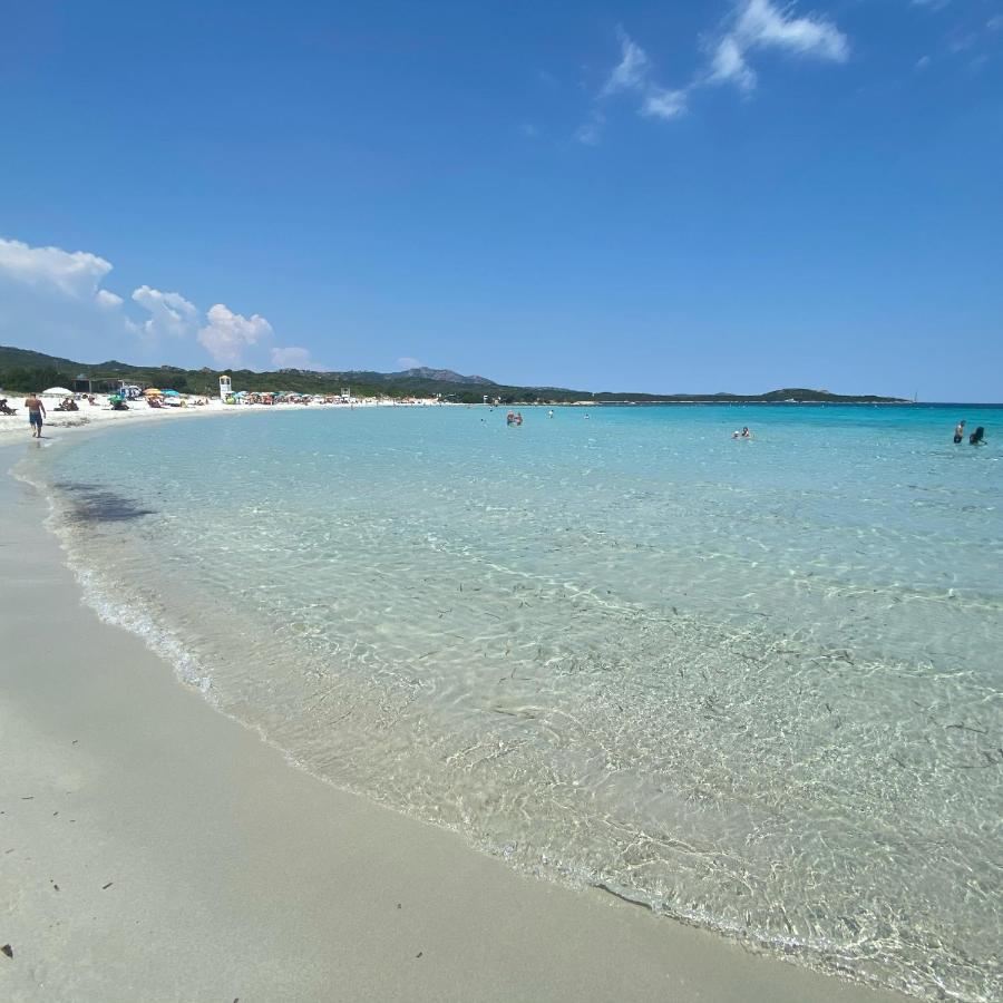La Casa Blu Villa San Pantaleo Dış mekan fotoğraf